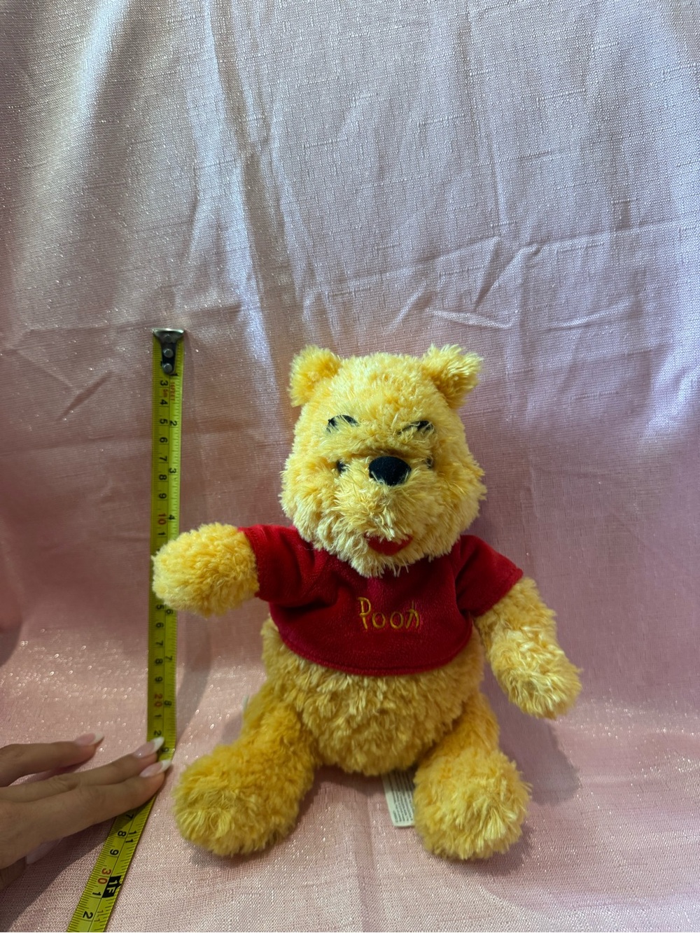Disney Winnie the Pooh plush toy